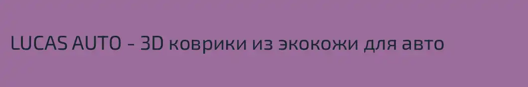 LUCAS AUTO - 3D коврики из экокожи для авто 